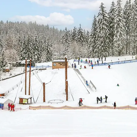Nest By Interhome Lägenhet Harrachov