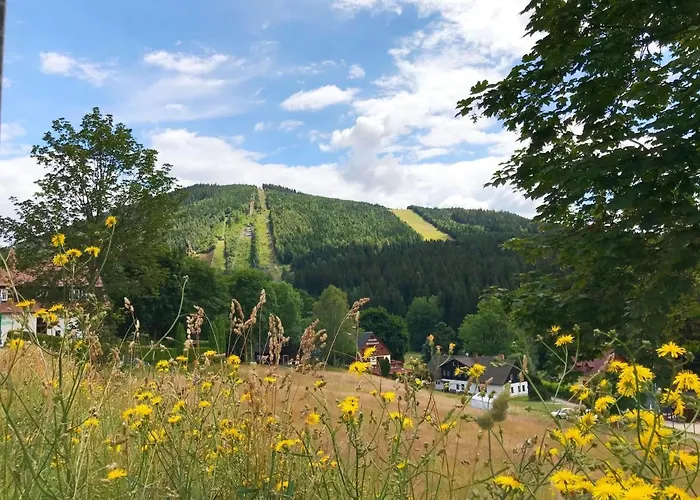 Lägenhet Nest By Interhome